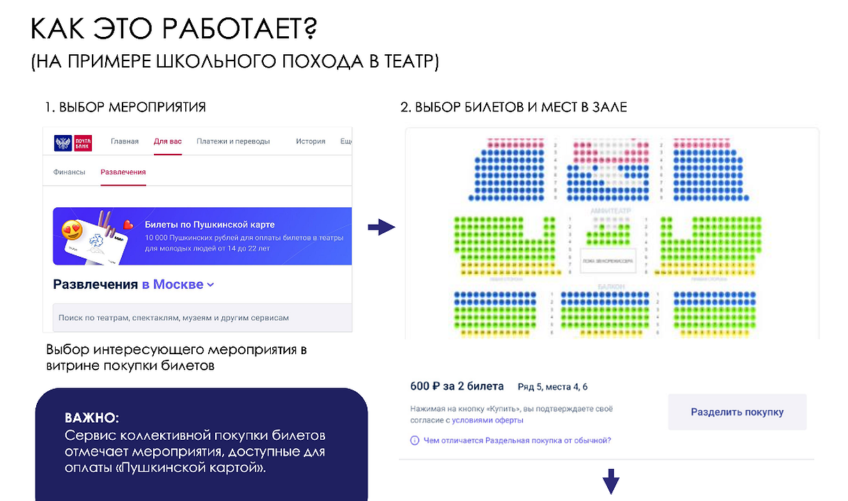 Пушкинская карта новосибирск что это такое